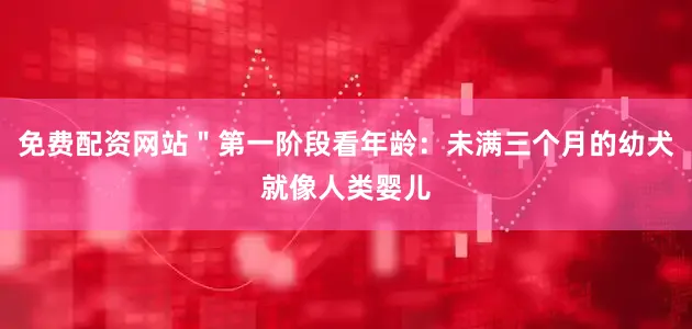 免费配资网站＂第一阶段看年龄：未满三个月的幼犬就像人类婴儿